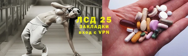амф Богданович
