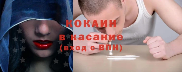 мдпв Богородицк