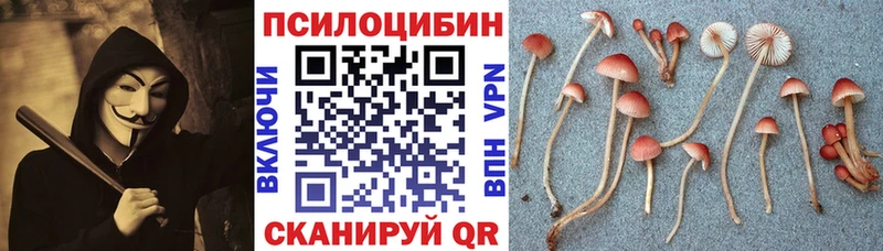 Галлюциногенные грибы MAGIC MUSHROOMS Новая Ляля